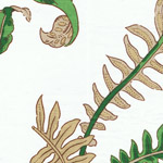 Ferns-Chintz Green/White Cushions