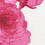 Salcombe Rose Rose Cushions